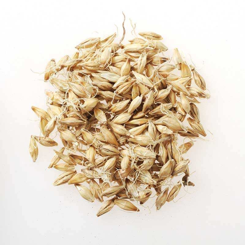 Effect of microwave drying on malt quality