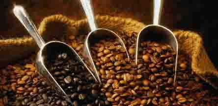 Analysis of the main components and functions of small seed coffee