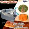 Bubble Leafy Vegetable Fruit Washer Chives Washing machinery