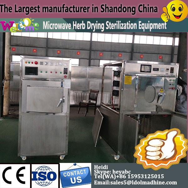 Microwave Yolk particles microwave drying equipment drying sterilizer machine #1 image