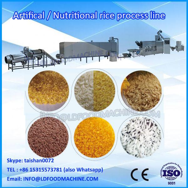 Artificial Instant Rice Food machinery/Artificial Rice Extruder machinery #1 image