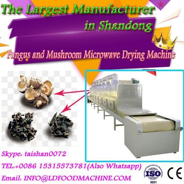 big capacity belt type microwave drying equipment for agaricus bisporus #1 image