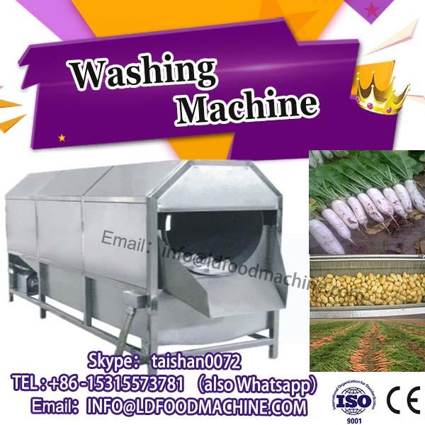 commercial fruit and vegetable bubble washing machinery #1 image