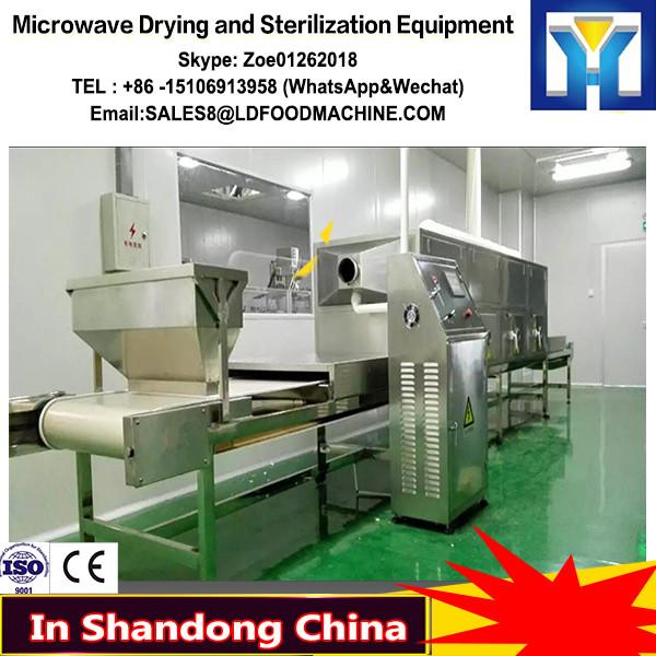 Microwave Gu Yuan powder Drying and Sterilization Equipment #1 image
