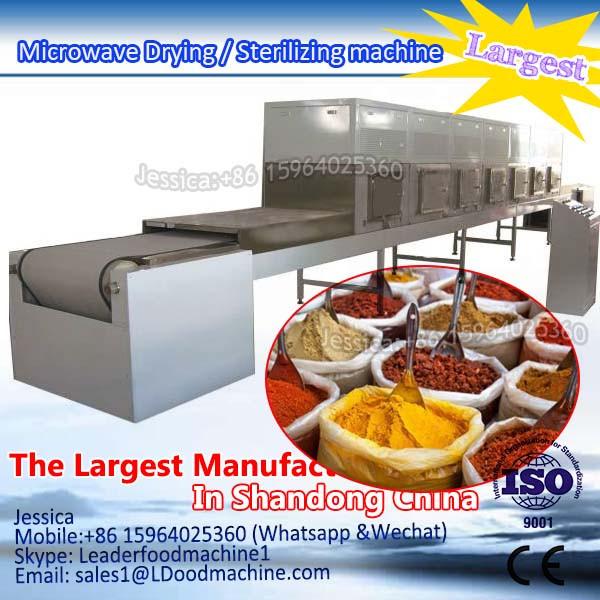  Egg microwave drying  Microwave Drying / Sterilizing machine #1 image
