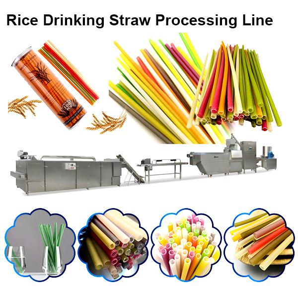 Stainless Steel Twin Screw Extruder Pasta Straw Making Machine/Rice Straw Making Machine #2 image