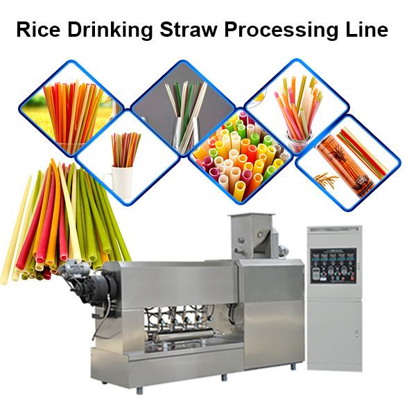 Biodegradable Drinking Straw Making Machine Sugarcane Fiber PLA Raw Material #1 image