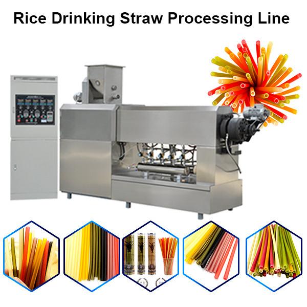 Stainless Steel Twin Screw Extruder Pasta Straw Making Machine/Rice Straw Making Machine #3 image