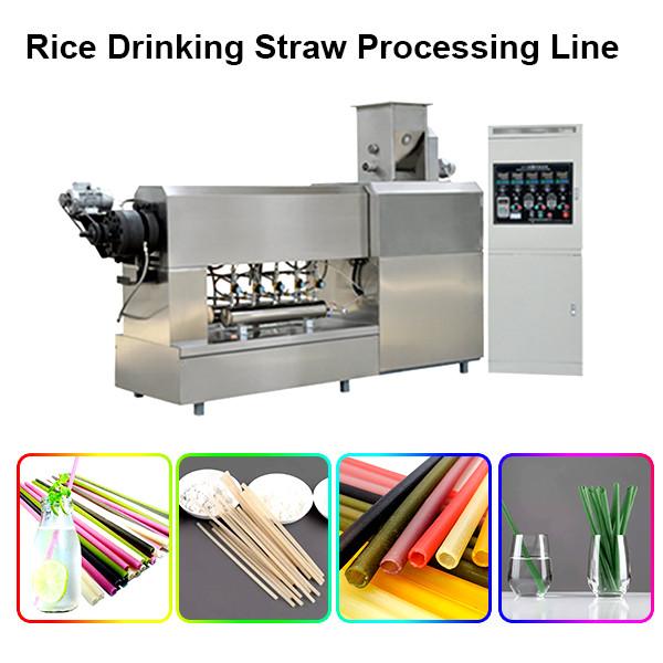 100% Biodegradable PLA Drinking Straw Making Machine Disposable Eco Friendly Polylactic Acid Straw #3 image