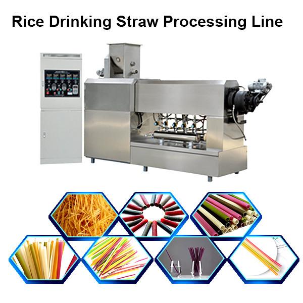 Biodegradable Drinking Straw Making Machine Sugarcane Fiber PLA Raw Material #2 image