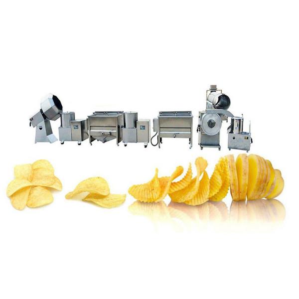 French Fries Making Machine Fully Automatic/Stainless Steel French Fries Cutters 100kg H Potato Chips Strip Cutting Machine for Frozen Maker in India #3 image