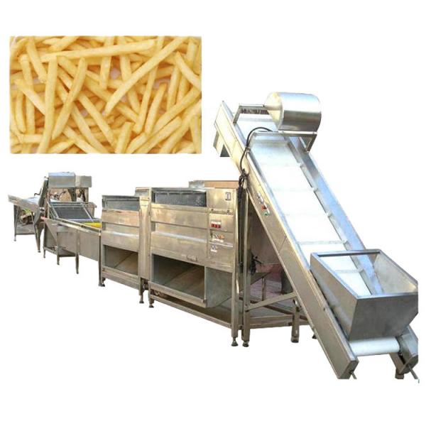 French Fries Making Machine Fully Automatic/Stainless Steel French Fries Cutters 100kg H Potato Chips Strip Cutting Machine for Frozen Maker in India #1 image