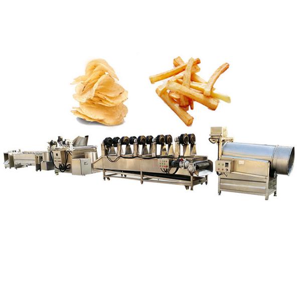 French Fries Making Machine Fully Automatic/Stainless Steel French Fries Cutters 100kg H Potato Chips Strip Cutting Machine for Frozen Maker in India #2 image